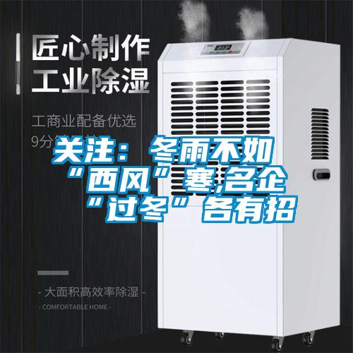 關(guān)注:冬雨不如“西風(fēng)”寒,名企“過冬”各有招