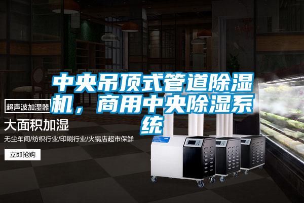 中央吊頂式管道除濕機,商用中央除濕系統