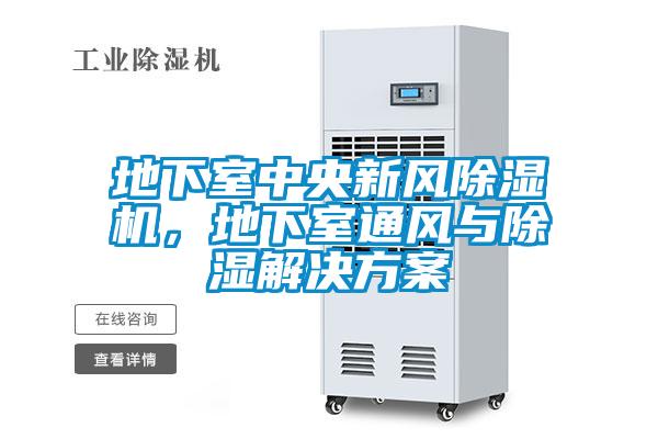 地下室中央新風(fēng)除濕機,地下室通風(fēng)與除濕解決方案