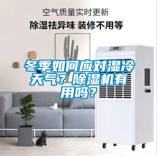 冬季如何應對濕冷天氣?除濕機有用嗎?