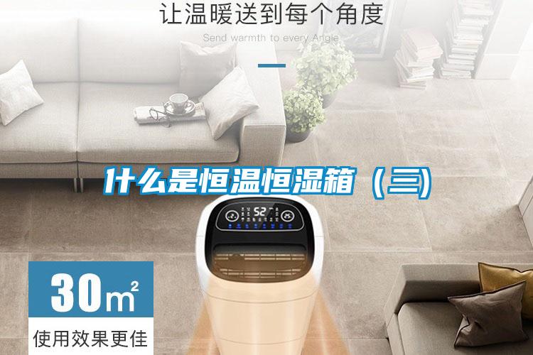 什么是恒溫恒濕箱(三)