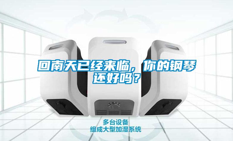 回南天已經來臨,你的鋼琴還好嗎?