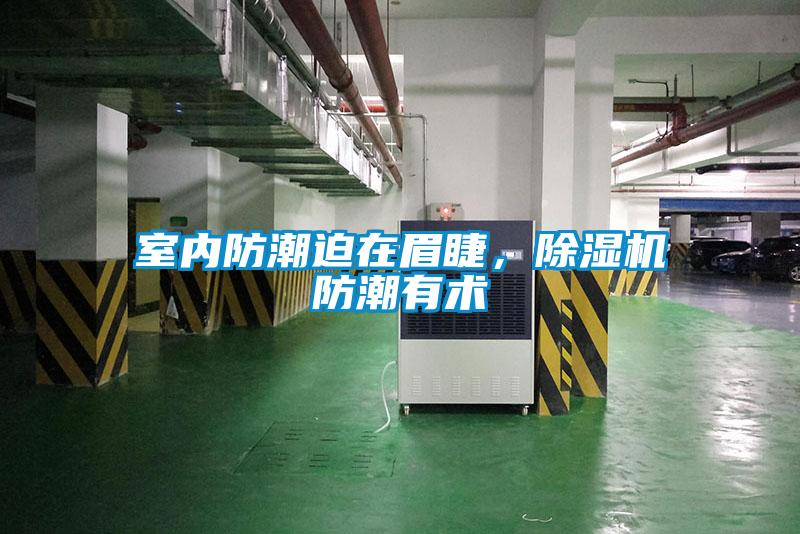 室內防潮迫在眉睫，除濕機防潮有術