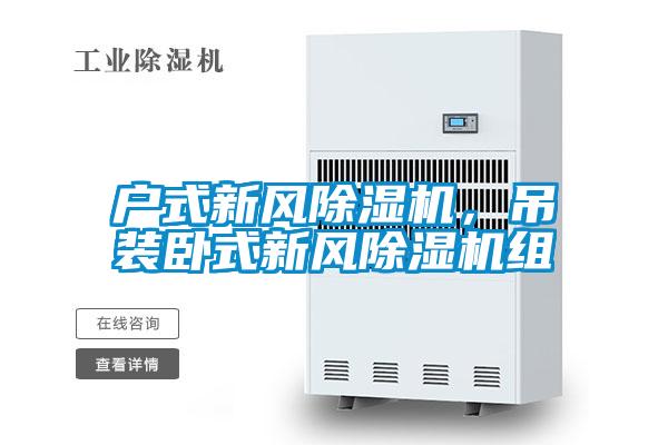 戶(hù)式新風(fēng)除濕機(jī)，吊裝臥式新風(fēng)除濕機(jī)組