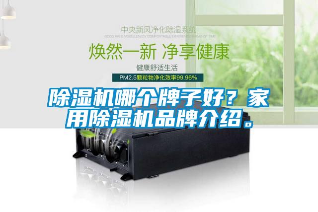 除濕機哪個牌子好？家用除濕機品牌介紹。
