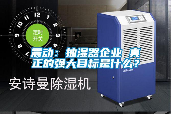 震動(dòng):抽濕器企業(yè) 真正的強(qiáng)大目標(biāo)是什么?