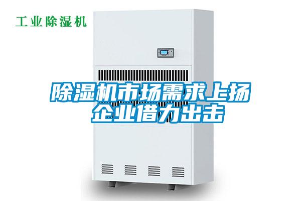 除濕機(jī)市場(chǎng)需求上揚(yáng) 企業(yè)借力出擊