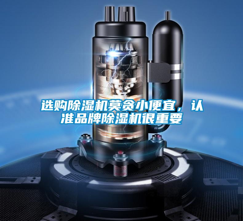 選購(gòu)除濕機(jī)莫貪小便宜，認(rèn)準(zhǔn)品牌除濕機(jī)很重要