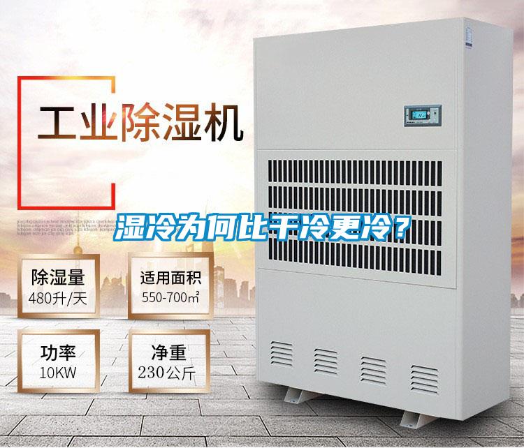 濕冷為何比干冷更冷?