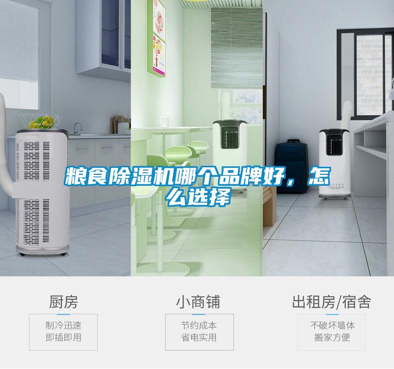 糧食除濕機哪個品牌好，怎么選擇