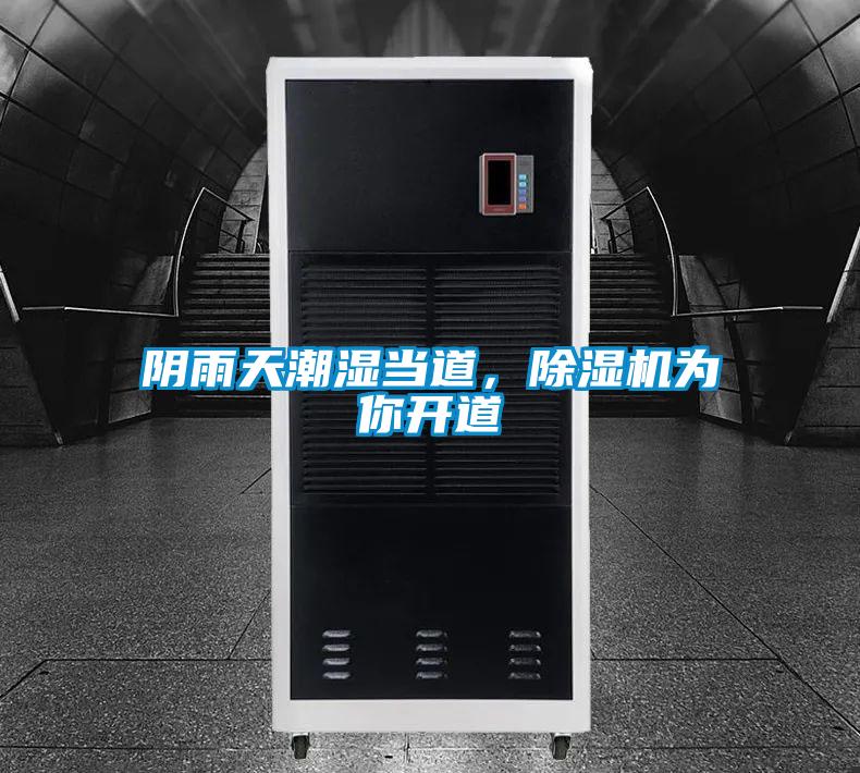 陰雨天潮濕當道,除濕機為你開道