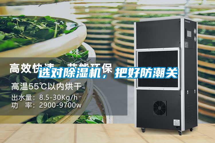 選對除濕機，把好防潮關