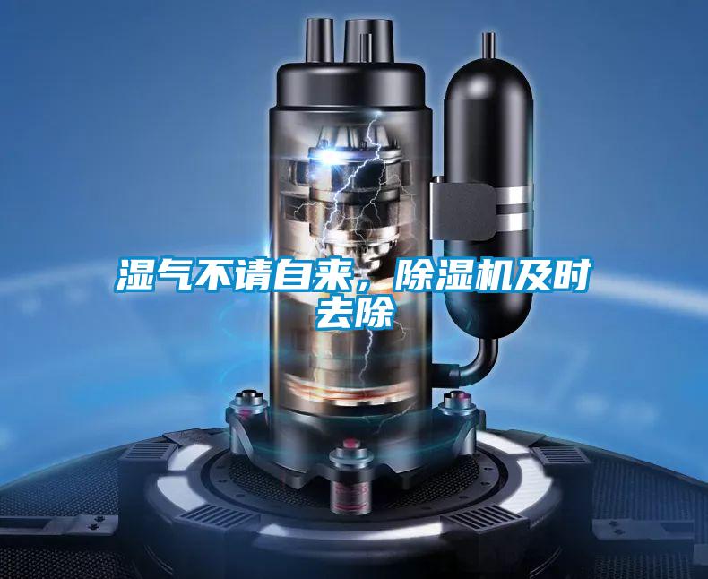 濕氣不請自來，除濕機及時去除