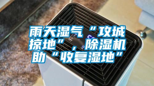 雨天濕氣“攻城掠地”,除濕機助“收復濕地”