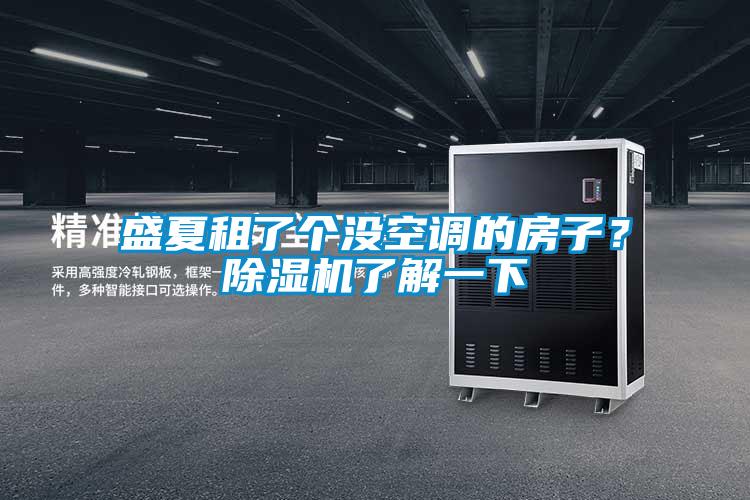 盛夏租了個沒空調(diào)的房子？除濕機了解一下