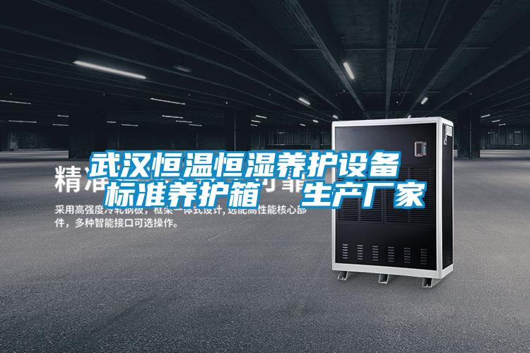 武漢恒溫恒濕養(yǎng)護(hù)設(shè)備  標(biāo)準(zhǔn)養(yǎng)護(hù)箱  生產(chǎn)廠(chǎng)家