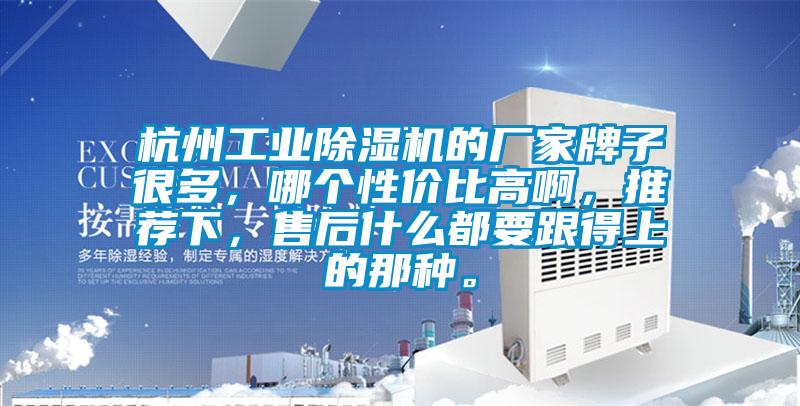 杭州工業(yè)除濕機(jī)的廠家牌子很多,哪個(gè)性價(jià)比高啊,推薦下,售后什么都要跟得上的那種。