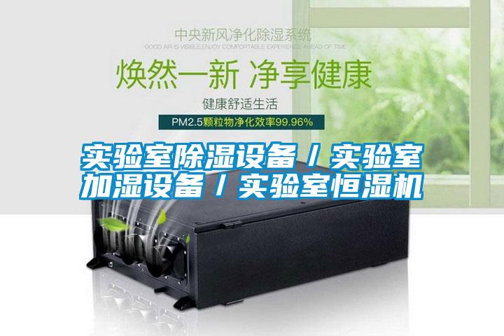 實驗室除濕設(shè)備/實驗室加濕設(shè)備/實驗室恒濕機