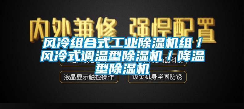 風(fēng)冷組合式工業(yè)除濕機組/風(fēng)冷式調(diào)溫型除濕機/降溫型除濕機