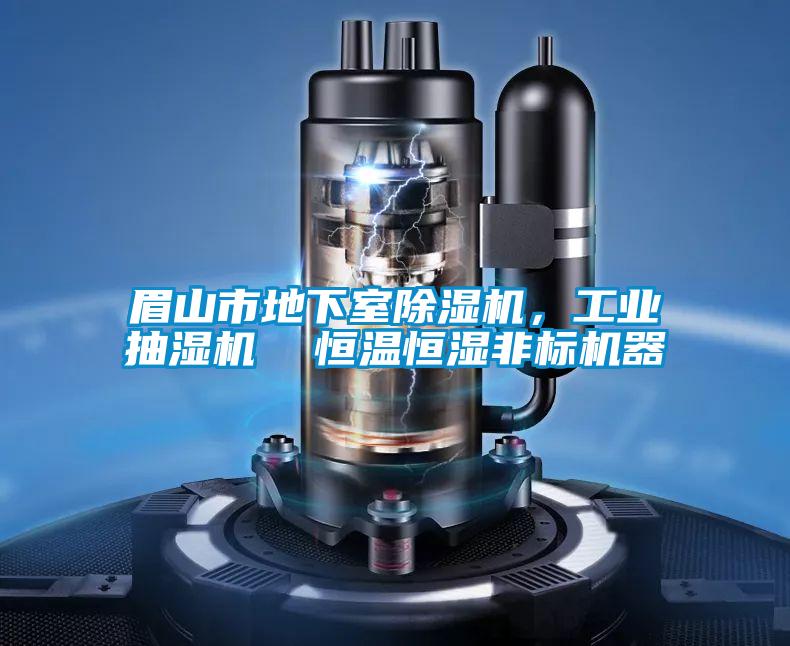 眉山市地下室除濕機，工業(yè)抽濕機  恒溫恒濕非標(biāo)機器