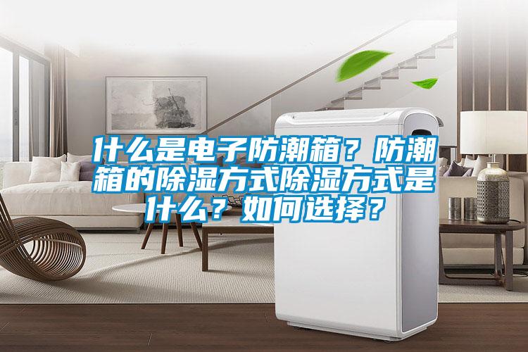 什么是電子防潮箱？防潮箱的除濕方式除濕方式是什么？如何選擇？