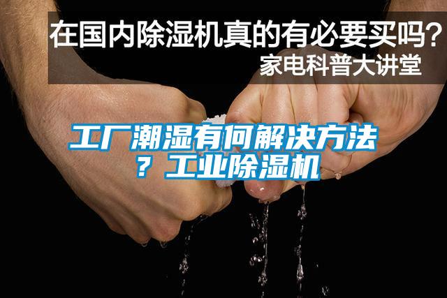工廠潮濕有何解決方法？工業除濕機