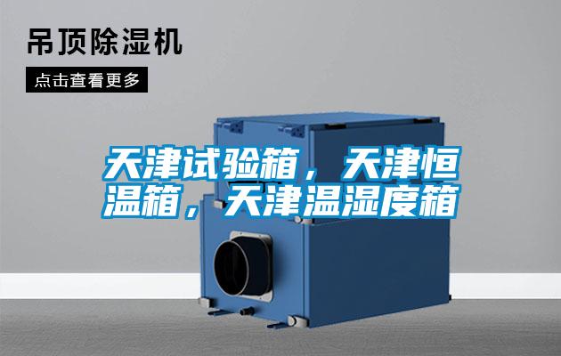 天津試驗箱，天津恒溫箱，天津溫濕度箱