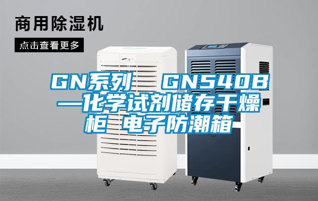 GN系列 GN540B—化學(xué)試劑儲(chǔ)存干燥柜 電子防潮箱