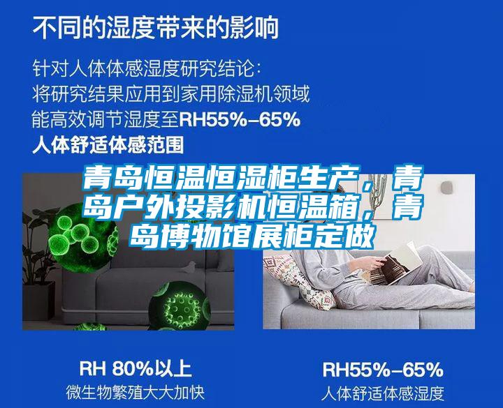 青島恒溫恒濕柜生產(chǎn)，青島戶外投影機恒溫箱，青島博物館展柜定做