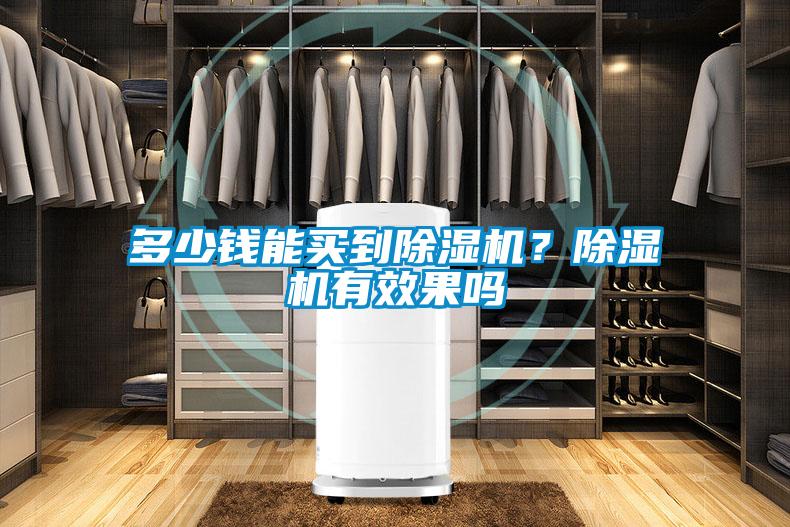 多少錢能買到除濕機？除濕機有效果嗎