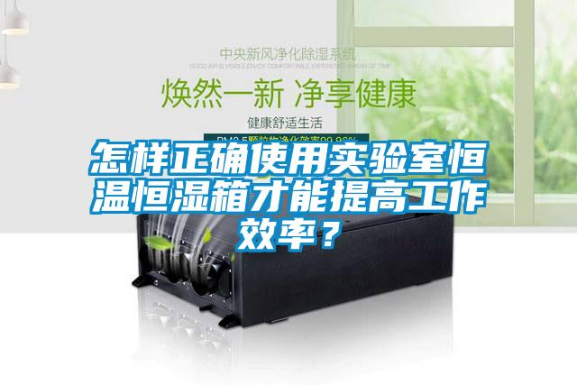怎樣正確使用實(shí)驗(yàn)室恒溫恒濕箱才能提高工作效率？