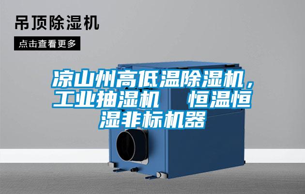 涼山州高低溫除濕機,工業抽濕機 恒溫恒濕非標機器