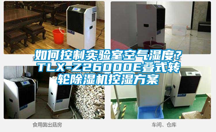 如何控制實驗室空氣濕度?TLX-Z26000E疊式轉輪除濕機控濕方案