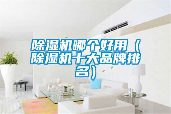 除濕機(jī)哪個(gè)好用(除濕機(jī)十大品牌排名)