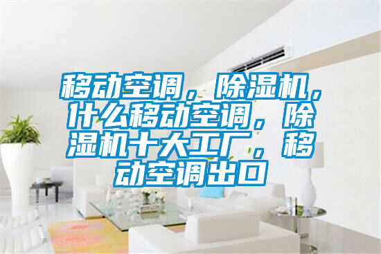 移動空調,除濕機,什么移動空調,除濕機十大工廠,移動空調出口
