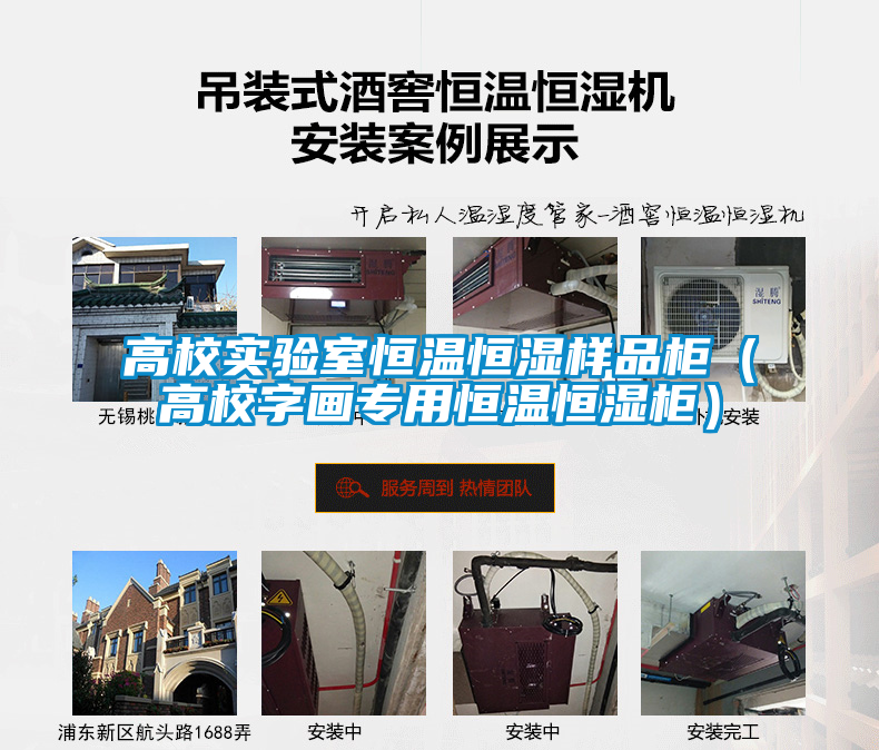 高校實(shí)驗(yàn)室恒溫恒濕樣品柜(高校字畫(huà)專用恒溫恒濕柜)