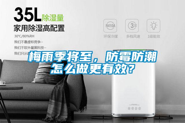 梅雨季將至，防霉防潮怎么做更有效？