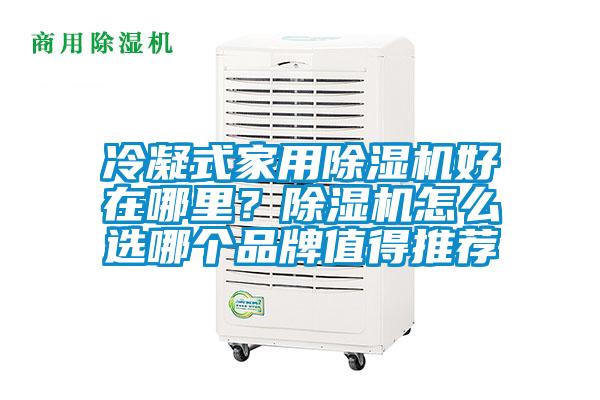 冷凝式家用除濕機好在哪里?除濕機怎么選哪個品牌值得推薦