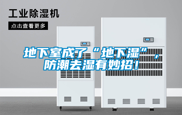 地下室成了“地下濕”，防潮去濕有妙招！