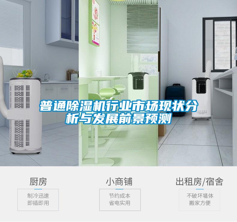 普通除濕機(jī)行業(yè)市場(chǎng)現(xiàn)狀分析與發(fā)展前景預(yù)測(cè)