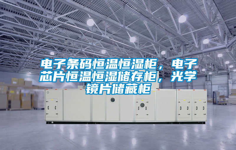 電子條碼恒溫恒濕柜，電子芯片恒溫恒濕儲存柜，光學鏡片儲藏柜