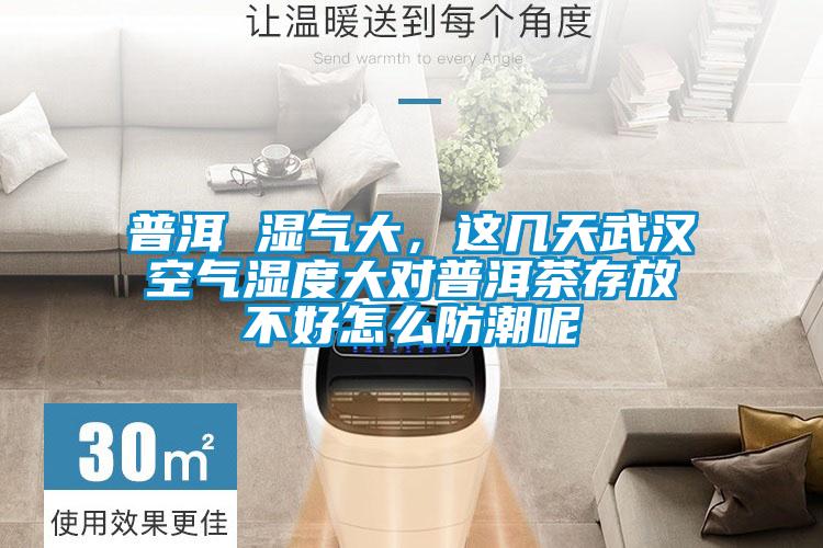 普洱 濕氣大,這幾天武漢空氣濕度大對普洱茶存放不好怎么防潮呢
