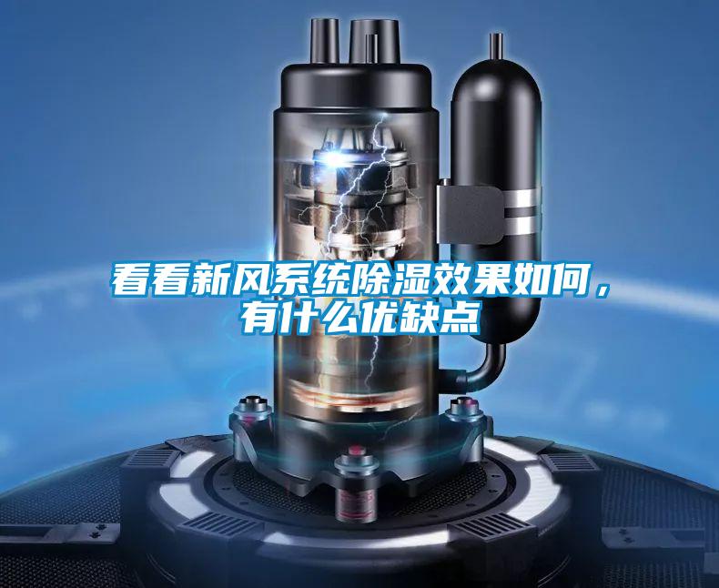 看看新風(fēng)系統(tǒng)除濕效果如何,有什么優(yōu)缺點