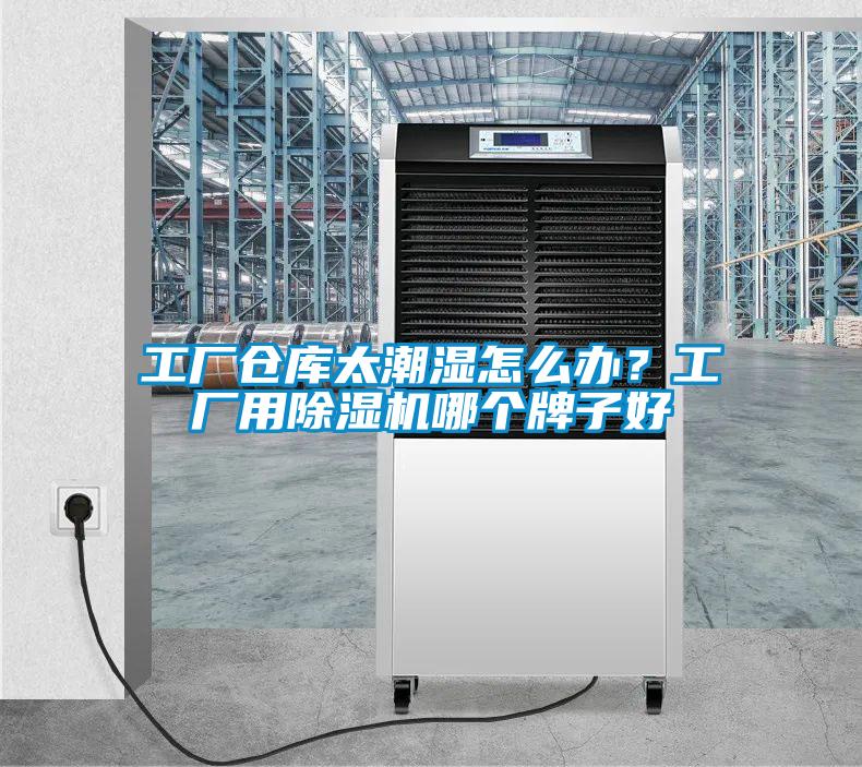 工廠倉庫太潮濕怎么辦？工廠用除濕機哪個牌子好