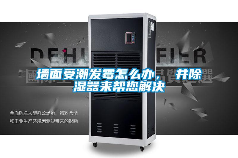 墻面受潮發霉怎么辦，東井除濕器來幫您解決
