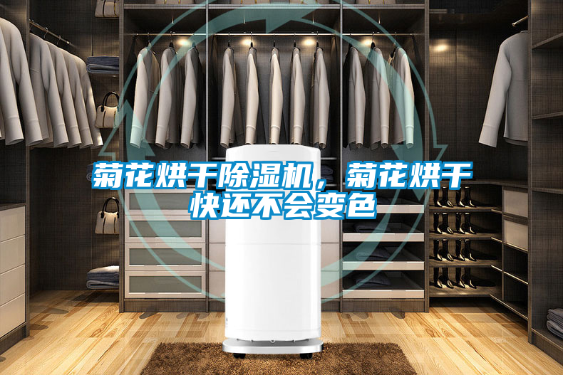 菊花烘干除濕機,菊花烘干快還不會變色