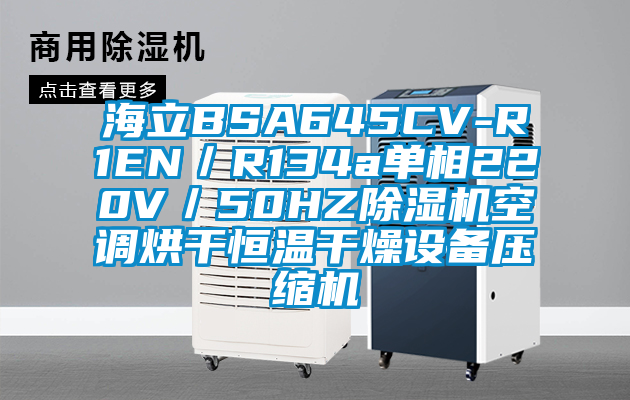 海立BSA645CV-R1EN/R134a單相220V/50HZ除濕機(jī)空調(diào)烘干恒溫干燥設(shè)備壓縮機(jī)