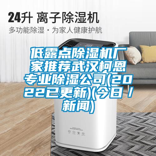 低露點(diǎn)除濕機(jī)廠家推薦武漢柯恩專(zhuān)業(yè)除濕公司(2022已更新)(今日/新聞)