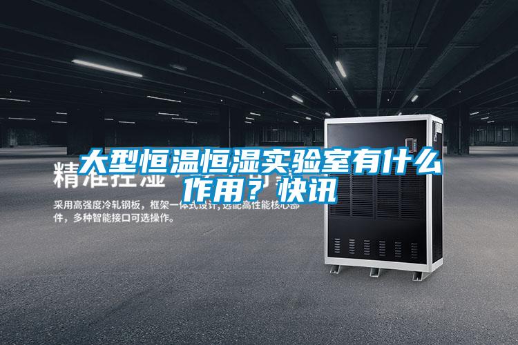 大型恒溫恒濕實(shí)驗(yàn)室有什么作用?快訊