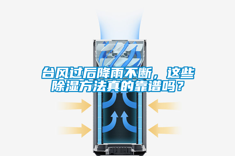 臺風過后降雨不斷，這些除濕方法真的靠譜嗎？